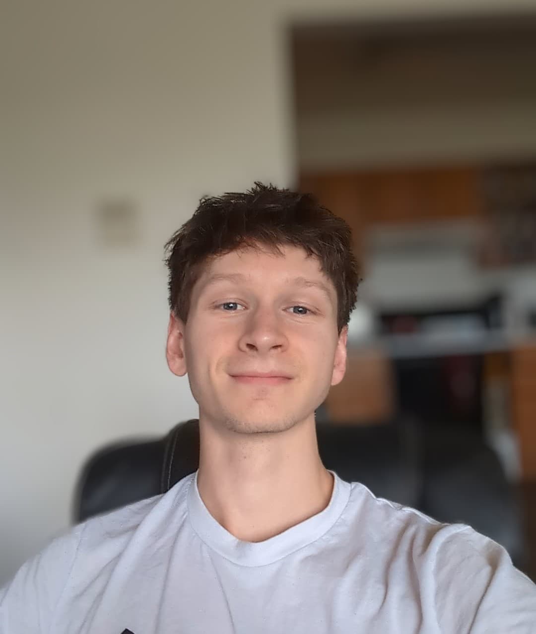 Local Michigan Web Developer